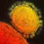 Iranian officials confirm first two cases of MERS in Iran