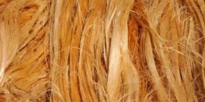 Jute fibre into bio-degradable cellulose sheets